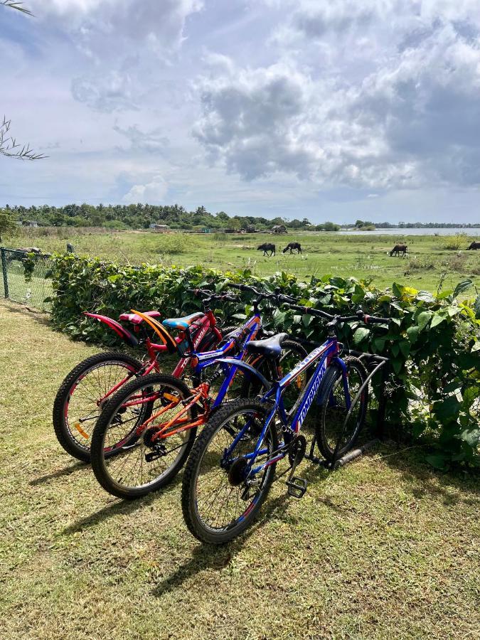 Blue Wild - Yala - Plastic Free & Sustainable Vila Tissamaharama Exterior foto