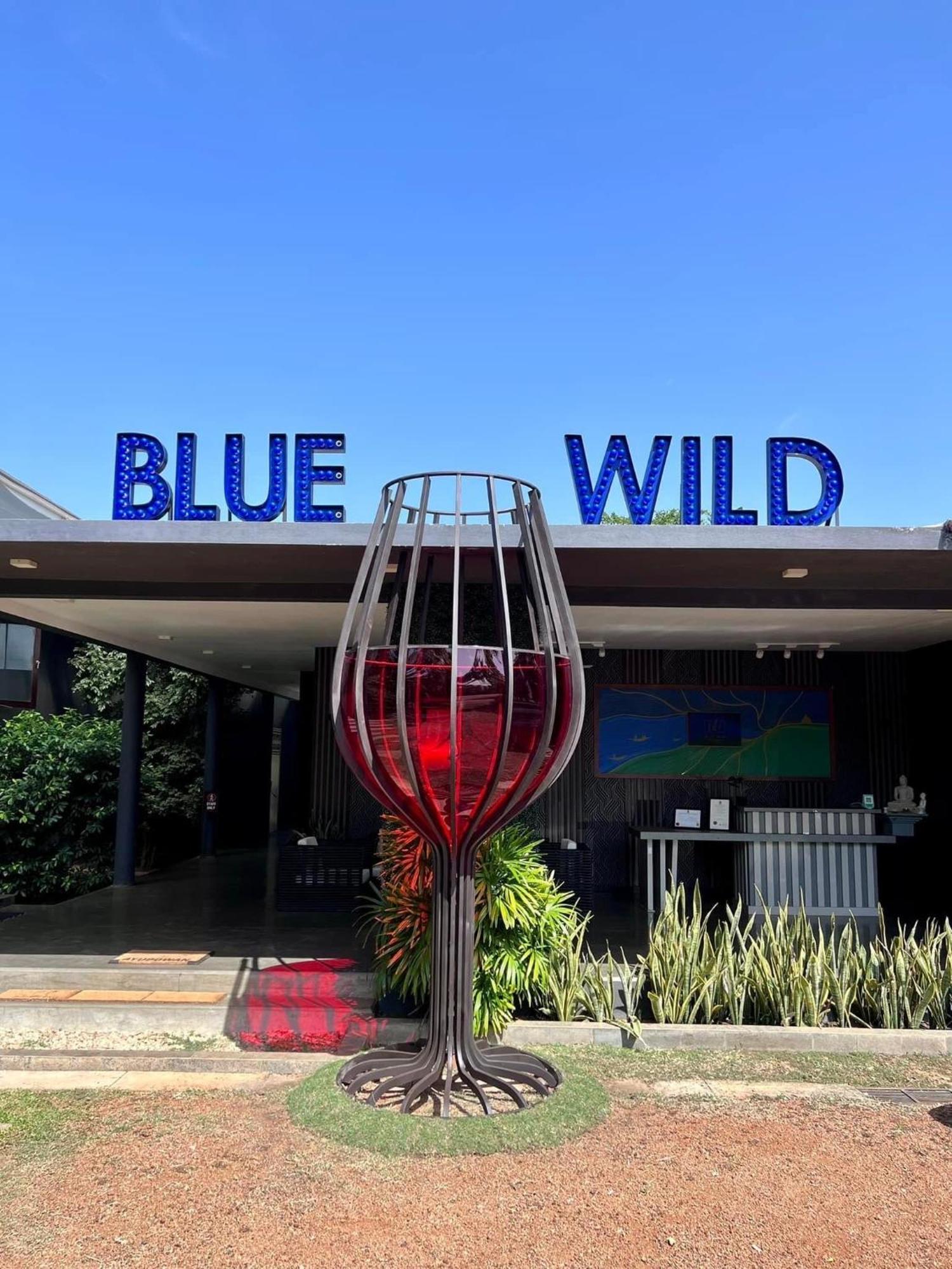 Blue Wild - Yala - Plastic Free & Sustainable Vila Tissamaharama Exterior foto